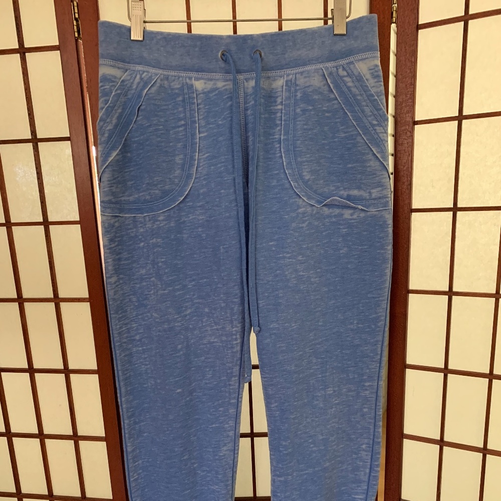 Bird & Vine distressed periwinkle blue crop sweats